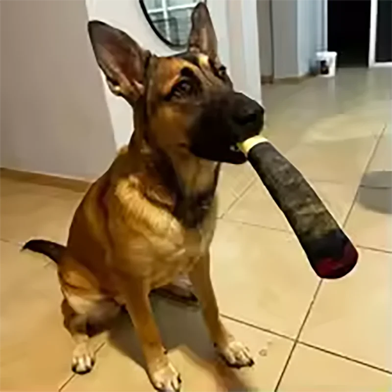 Divertido juguete interactivo para perros