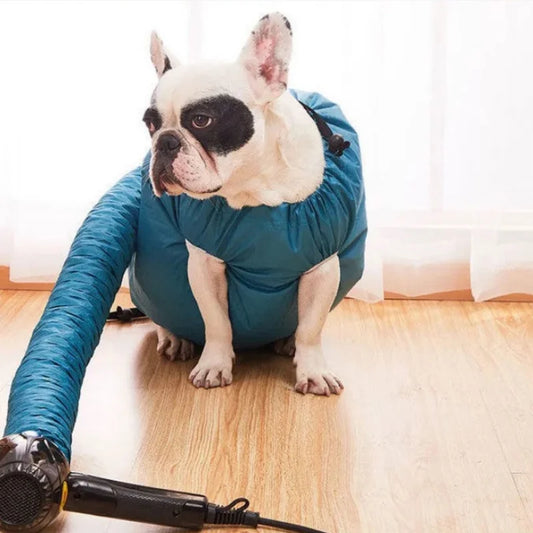 Secador de pelo plegable para perros