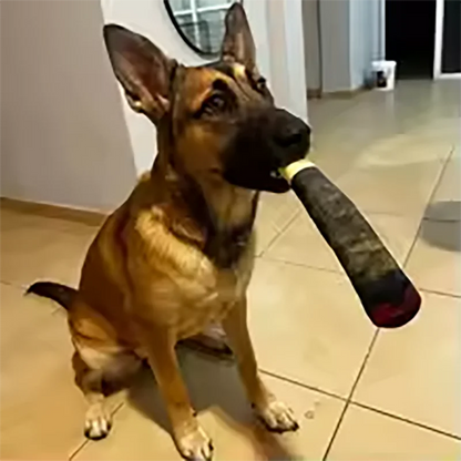 Divertido juguete interactivo para perros