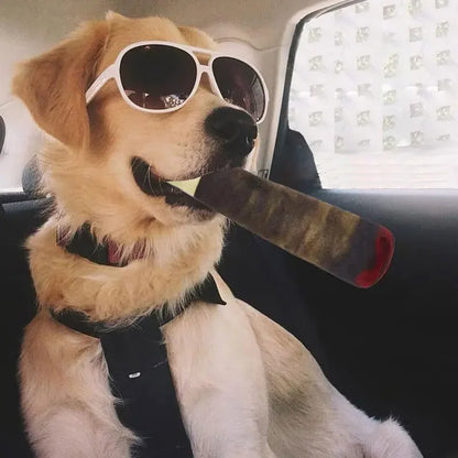 Divertido juguete interactivo para perros