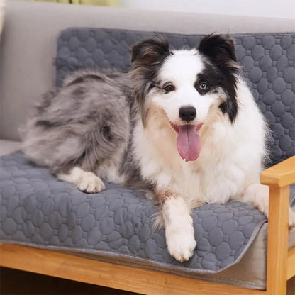 Almohadilla para orinar para perros